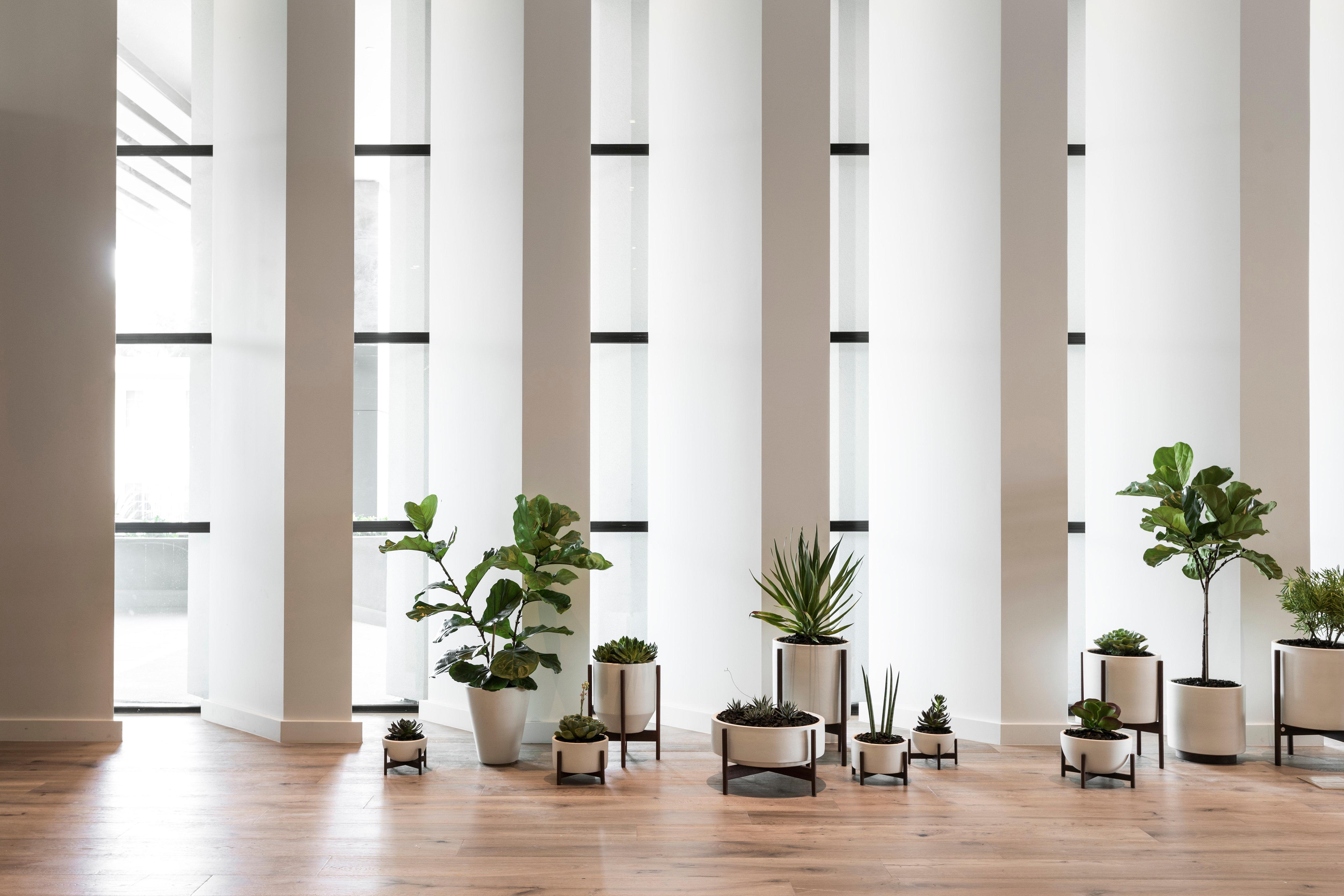 Kimpton Everly Hotel Hollywood By Ihg Los Angeles Eksteriør bilde